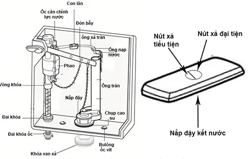 Cấu Tạo Van Xả Nước Bồn Cầu: Tìm Hiểu Chi Tiết