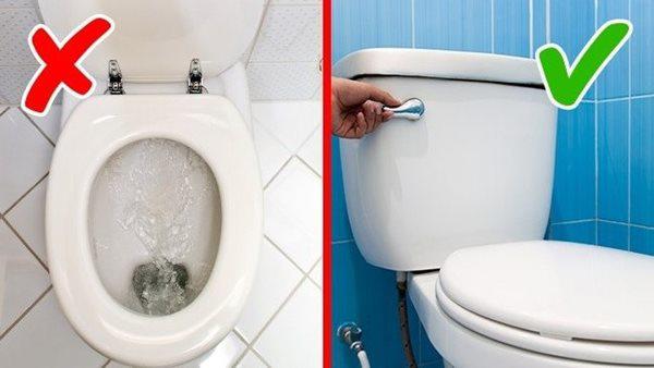 Cách Sử Dụng Nước Xả Bồn Cầu: Hướng Dẫn Chi Tiết và Lưu Ý Quan Trọng